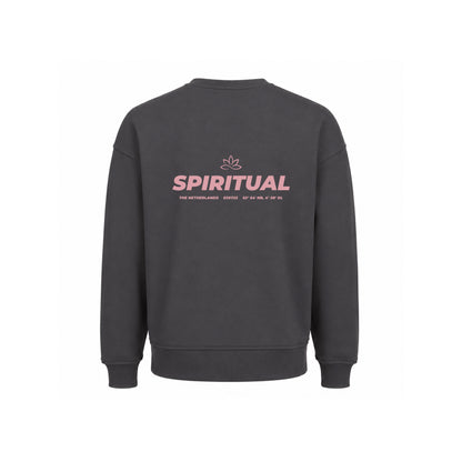 Basic Oversized Sweater Dark grey